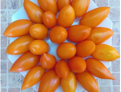 Томат Елисей