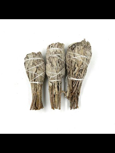 Белый шалфей - Факел 35-50 гр.