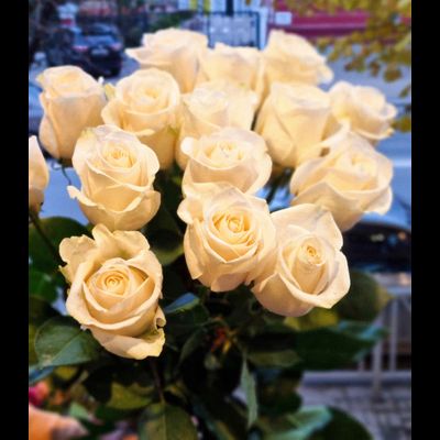 Роза Эквадор "Венделла" 80 см 15 шт