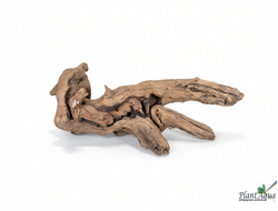 SwetAqua Chinese Sunken EXCLUSIVE 8033 (560х250х160 мм) - Натуральная коряга "Китайская затонувшая" EXCLUSIVE