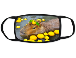 Тканевая маска на лицо Капибара, Kapibara-san №14