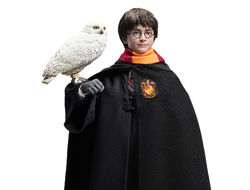 Гарри Поттер, премиум версия (Дэниел Редклифф, "Гарри Поттер и Философский Камень") - Коллекционная ФИГУРКА 1/6 scale Harry Potter and the Sorcerer's Stone Premium Edition (Ag006P1) - INART