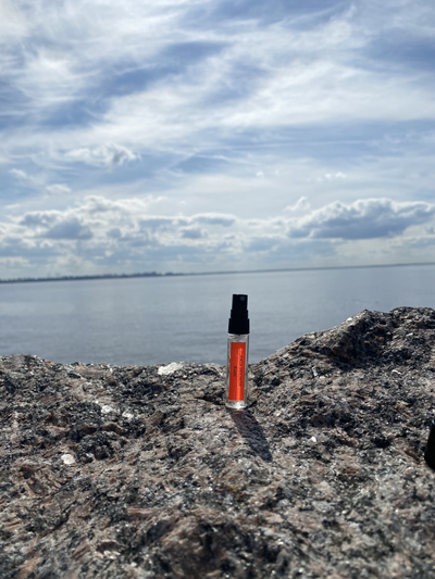 Духи НОТА: МУЖСКАЯ КОЖА 5,5 мл