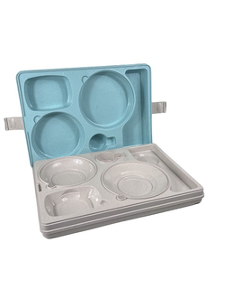 Термоподнос с крышкой 542*390*120 мм. на 5 предметов с зажимом (-40°C до +110°C) п/п