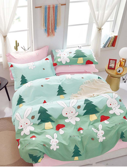 Постельное белье TANGO Twill комплект сатин евро 200x220x1 230x250x1 50x70x2 TPIG3-1400