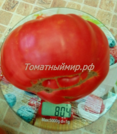 Томат Клеота розовая (Cleota Pink) США