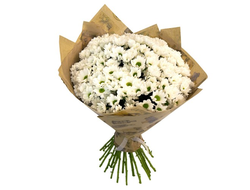 15 хризантем сантини