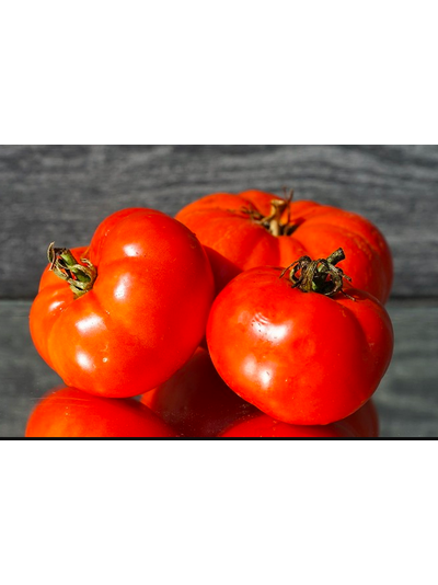 ГРИБОВСКИЙ