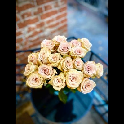 Роза Эквадор 60 см 19 шт