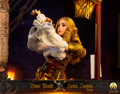 Эльфийка-пират Аиша - КОЛЛЕКЦИОННАЯ ФИГУРКА 1/6 Captain Aisha (WS018A) - War Story