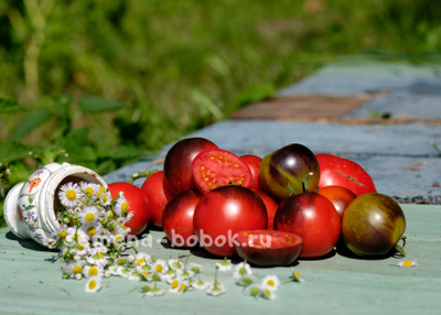 Томат Темная Галактика, 10 шт