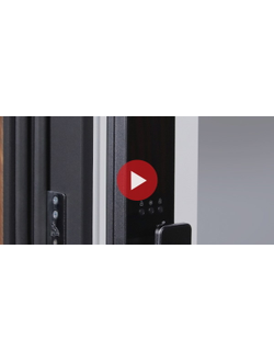 Стальная дверь   Plata с зеркалом (биометрический замок Smart lock Y12)
