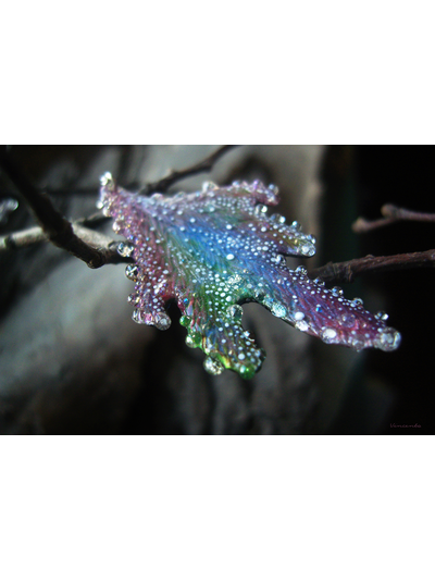 "Крылышки феи Рассветного сада", крупные серьги с капельками