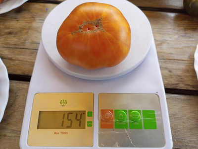 Томат Чупа-чупс оранжевый