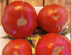 Томат Казан
