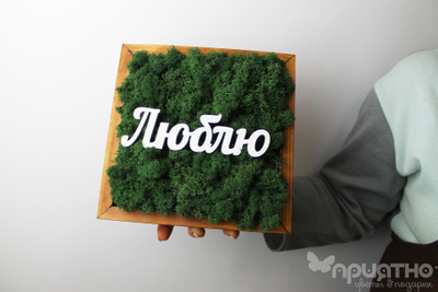 ЖИВАЯ ЭКО-КАРТИНА 1060