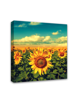 Печатная картина на деревянном подрамнике "Подсолнухи"