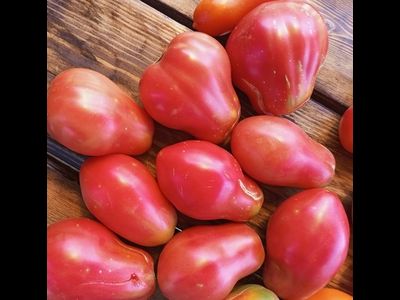 Томат Клубничный (Fragolone), Италия