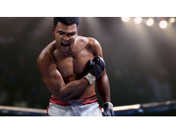 Игра EA Sports UFC 5 (PS5)