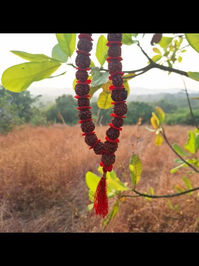 Четки Premium quality из натуральной крупной Рудракши 54 бусины красные