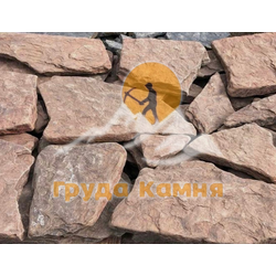 Галтованный Красный дракон