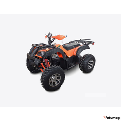 Электроквадроциклы