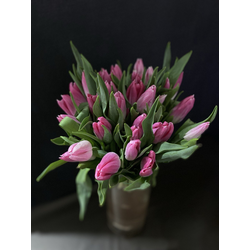 Тюльпаны 35 шт