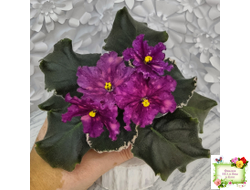 ВаТ-Калейдоскоп (Т. Валькова) 2015 г.