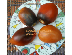 Томат Паскаль из  Пикардии (Pascal de Picardie), США