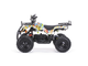 Квадроцикл MOTAX ATV X-16 1000W