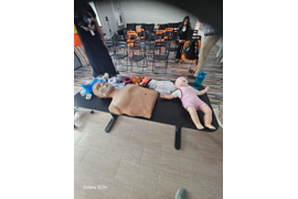 Международный курс EFR