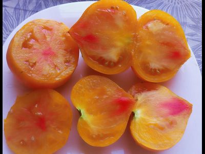 Томат Радужный сердцевидный джаз (Rainbow jazz heart)