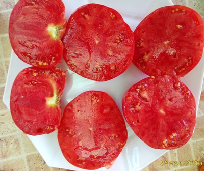 Томат Новое поколение Бурчема (Burcham's New Generation) США