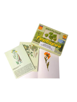 Гербарий "Систематика растений. Семейство Пасленовые. Крестоцветные. Сложноцветные" (раздаточный)