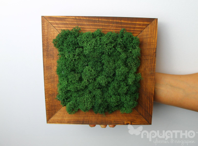 Живая Эко-Картина 1069