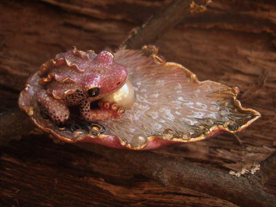 "Жемчужница Авроры", волшебная брошь с лягушкой