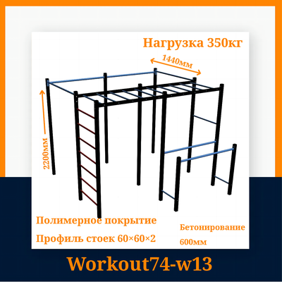 Спортивная площадка Workout W13 + качель -гнездо
