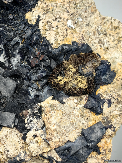 Флюорит и радиально-лучистый гетит на породе. Украина.