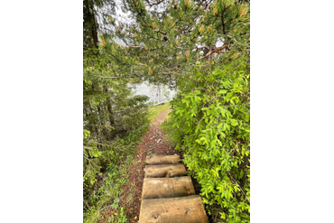 Ступени ведущие в баню на базе Куэльпорр