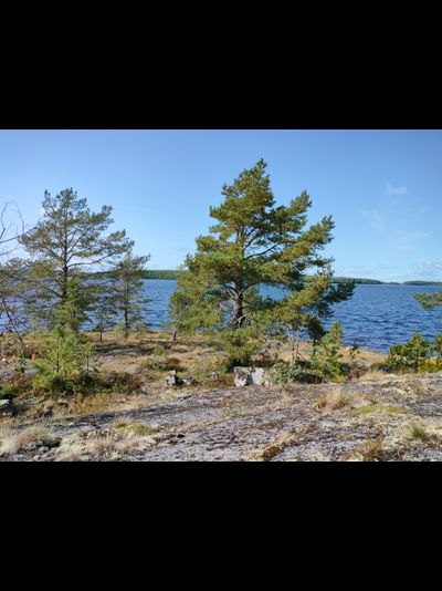 Пешая прогулка "Щельга: ледниковое прошлое Заонежья"