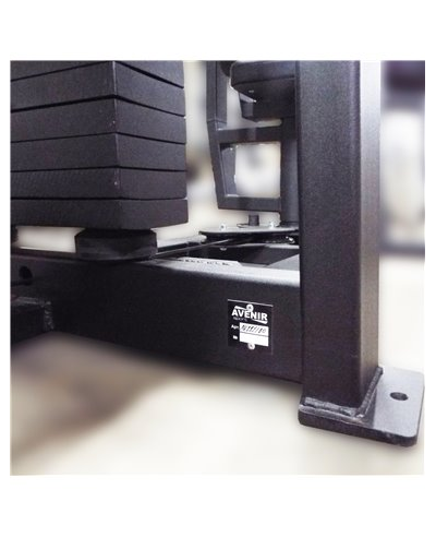 Торс машина 60 кг AV221/80