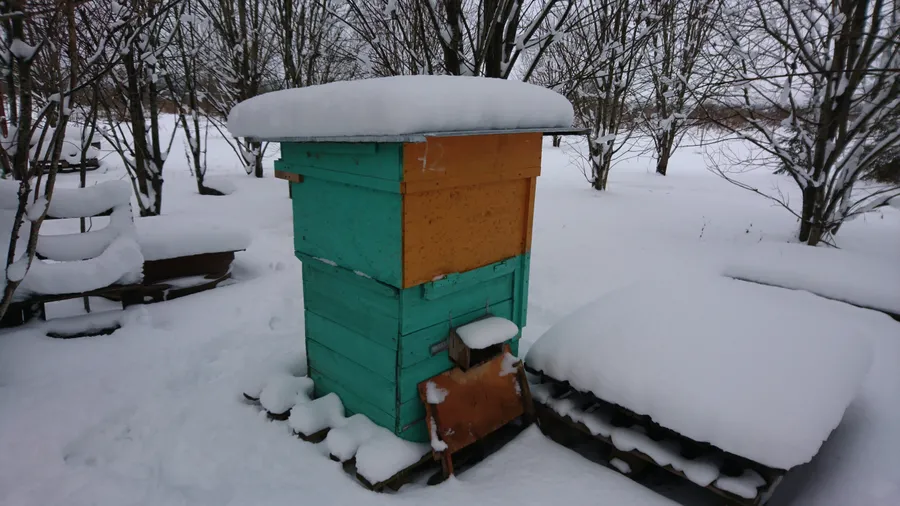 Снежные шапки