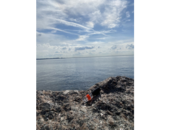 Духи НОТА: ЖЕНСКОЕ ПРИСУТСТВИЕ, 3.5 мл