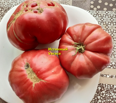 Томат Истинный (Verace, Италия)