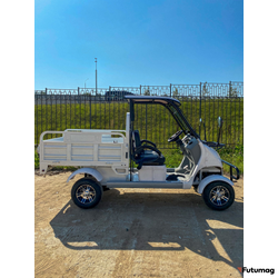 Гольфкар GreenCamel A2C 52Ah (2+Cargo 2500W 225/40-10' литые)