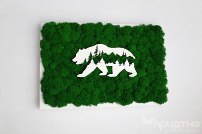 ЖИВАЯ ЭКО-КАРТИНА 1039