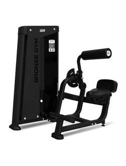 Разгибание спины профессиональное BRONZE GYM NEO 31