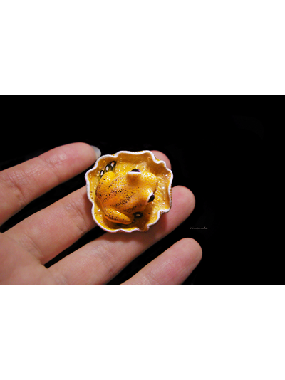 Мини-брошь "Притягивающая солнечный свет", украшение с лягушкой