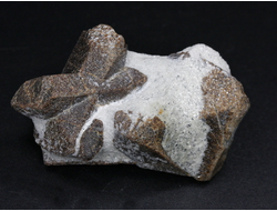 Ставролит, сросток кристаллов "косой крест" на сланце, Россия, Кольский п-ов (51*30*21 мм, 38 г) №26079