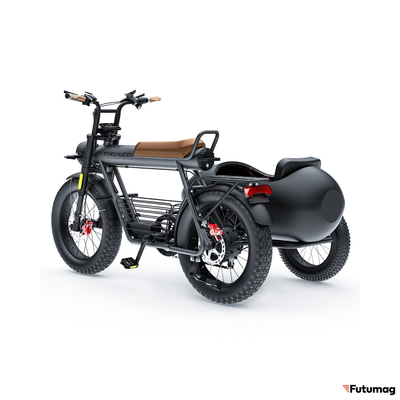 Люлька - Коляска для электровелосипеда COSWHEEL CT20 / CT20S